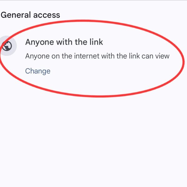 Change the accessibility to-Anyone with the link